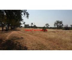 20 Acres agriculture Farm Land for sale at Bagepalli