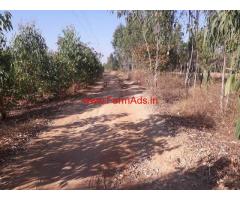 4.20 Acres farm land available for sale near Anchala. Bangarpet.