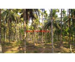 9.63 acres arecanut and coconut plantation land for sale in hunsemakki,