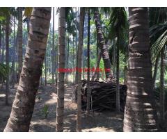 26 cents Agricultural land with Coconut , Areca trees on Siruvani Main road