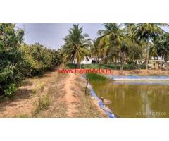 1.80 acres mango farm for sale , well maintained in krishnagiri district