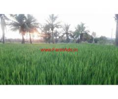 3 acres agriculture land for sale Sodam Mandal , Chitoor