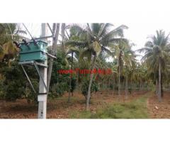 12 Acre coconut farm for sale near Mysore.
