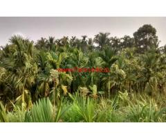 8.5 acre agriculture land for sale near Mangalore.