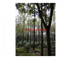 10 acre coffee estate available for sale at chickmaglur