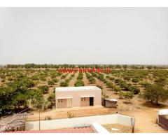 140 acres mango farm with farm house for sale. Kodigehalli, Ananthapur