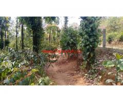 16 acre well maintained coffee estate for sale in sakleshpura