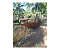 7.5 Acres Coconut Farm for sale near Gubbi