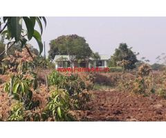 5.5 Acres agriculture land for sale near Gangapur - Nashik