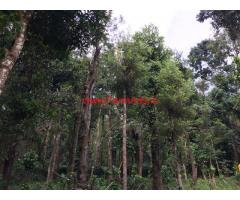 179.26 Acres Coffee Estate for sale Chikmagalur