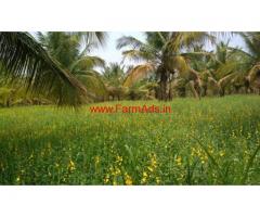 Agriculture Farm land for sale in yadiyur Kunigal Taluk 5 Acres