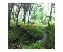 .5 Acres of Rubber Estate for Sale at Sullia (Sulya)