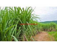 80 Guntha, Ranmala Kadus, Agriculture land for sale