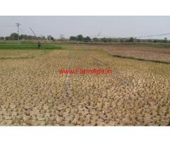 2.05 Acres agriculture land for sale yellareddy village near kamareddy road