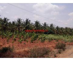 2 acre Agriculture land for sale near bellur cross - Nagamangala