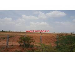 70 acres farm land for sale, located between Penukonda and roddam