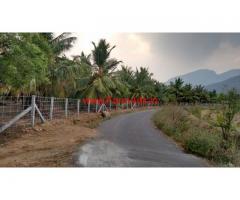 20 acres coconut farm land for sale at Erode - Sathyamangalam