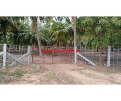 20 acres coconut farm land for sale at Erode - Sathyamangalam
