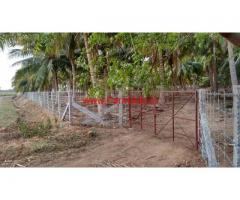 20 acres coconut farm land for sale at Erode - Sathyamangalam