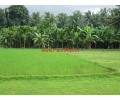 3 acre agriculture farm land available for sale in Nitte village