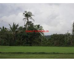 3 acre agriculture farm land available for sale in Nitte village