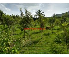 1.9 Acres Coconut farm land for sale in Doddaballapura