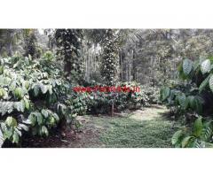 5 Acre robusta Coffee estate for sale Virajpet kodagu,