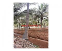 11 Acres Coconut Farm Land for sale at Coimbatore - Kovilpalayam Road