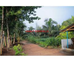 Agricultural Land (3.37 Acres) for sale near Thondamuthur, Coimbatore
