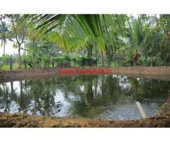 Agricultural Land (3.37 Acres) for sale near Thondamuthur, Coimbatore