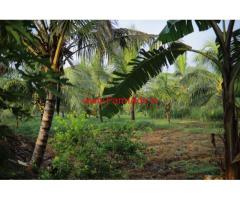 Agricultural Land (3.37 Acres) for sale near Thondamuthur, Coimbatore