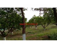 30 Acres Mango Farm for sale at Moinabad near Chevella