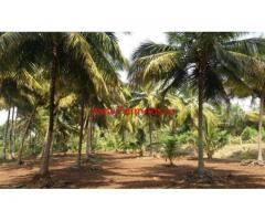 8 Acres New Coconut Plantation for sale at Velanthavalam, Palakkad
