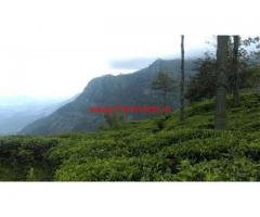 40 Cents Farm land for sale at Water Falls Road, Aravenu