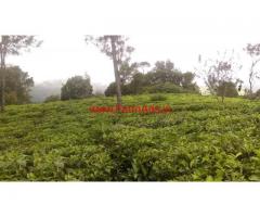 40 Cents Farm land for sale at Water Falls Road, Aravenu