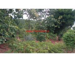 176 Cents farm land for sale near Vadipatti