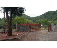 176 Cents farm land for sale near Vadipatti