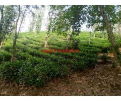 1 acre land for sale near Kattimoola