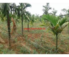 3 acare farm land for sale near Banavasi, in Sirsi