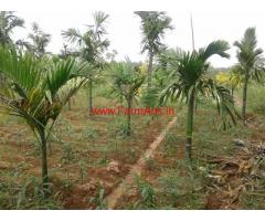 3 acare farm land for sale near Banavasi, in Sirsi