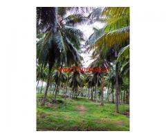 23 Acre Coconut Farm with Farm House for sale at Pollachi
