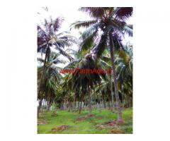 23 Acre Coconut Farm with Farm House for sale at Pollachi