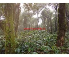 1.18 acres coffee estate for sale at Attigundi