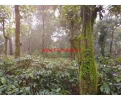 1.18 acres coffee estate for sale at Attigundi