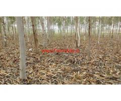 4.15 acres agriculture land for sale, Ongole. 2KM near to nh16