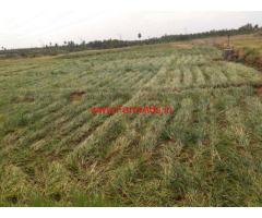 Low Budget 100 acres agriculture land sale near Palani