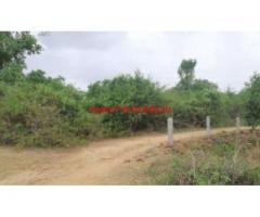 5 Acres mango garden farm for sale in Chitoor, Andhra Pradhesh