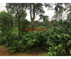 5.60 acre coffee estate for sale in Coorg Karnataka.