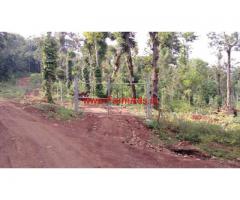 15 acres coffee estate for sale 6 km from Kodlipet