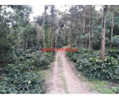 200 acres coffee estate for sale near Sakleshpur
